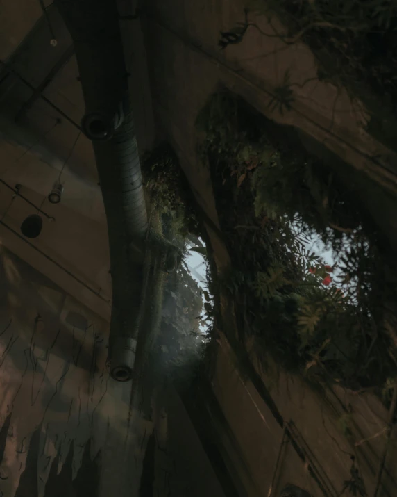 a man riding a skateboard up the side of a ramp, inspired by Filip Hodas, environmental art, plants inside cave, dark cables hanging from ceiling, low quality photo, dishonored aesthetic