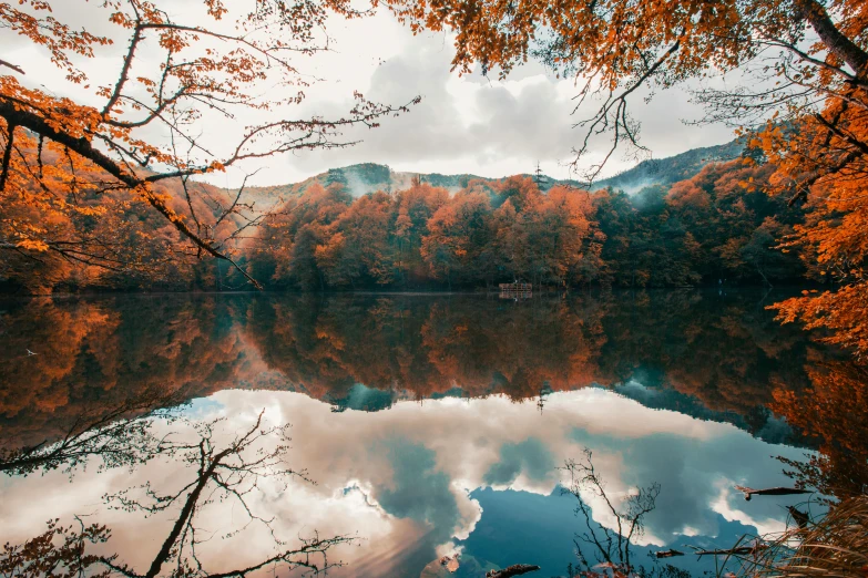 a large body of water surrounded by trees, pexels contest winner, visual art, reflections in copper, 2 5 6 x 2 5 6 pixels, romanian, thumbnail