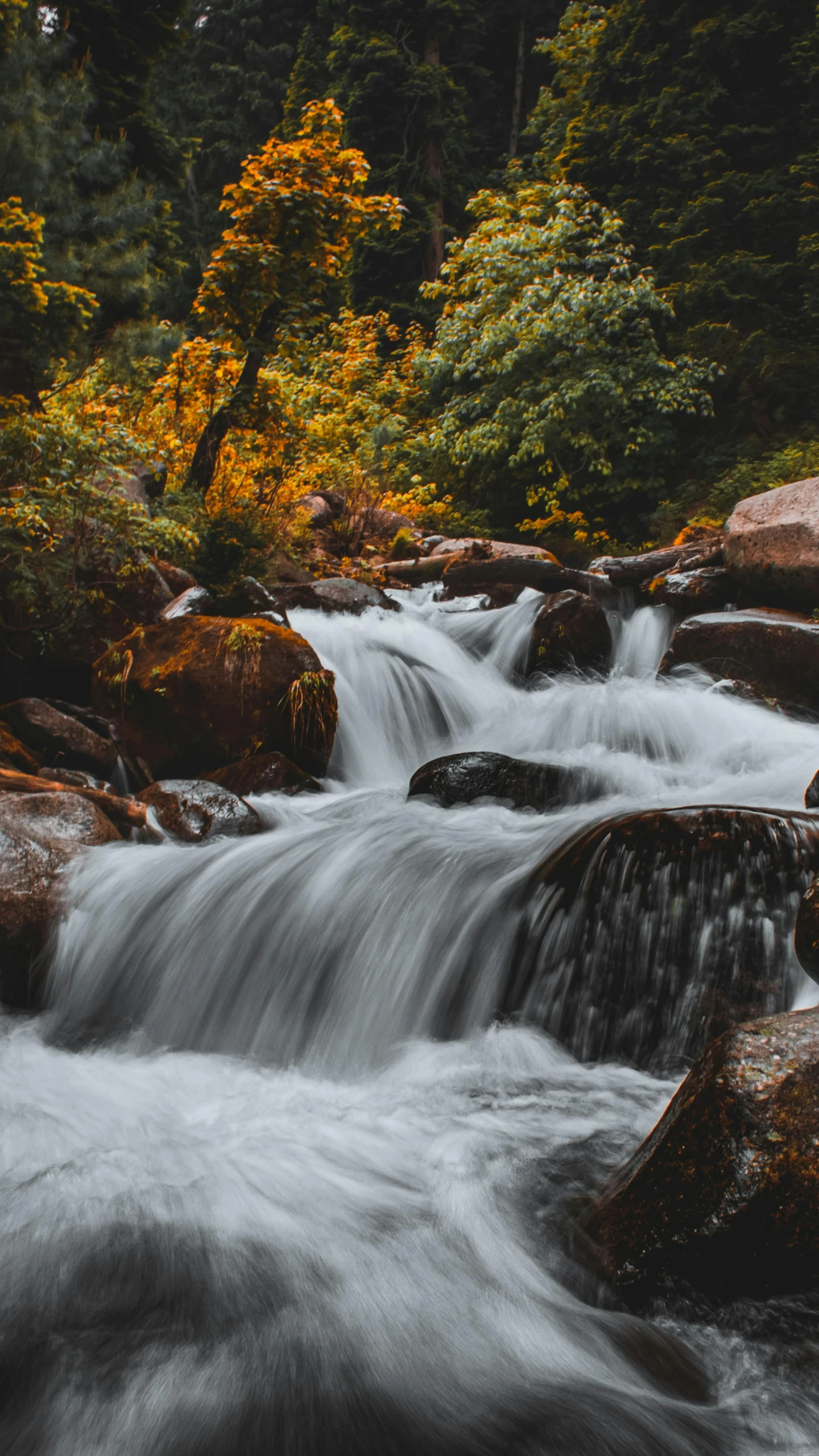 a stream running through a forest filled with rocks, unsplash contest winner, hurufiyya, vibrant but dreary gold, thumbnail, high quality photo, a river flowing with waterfall