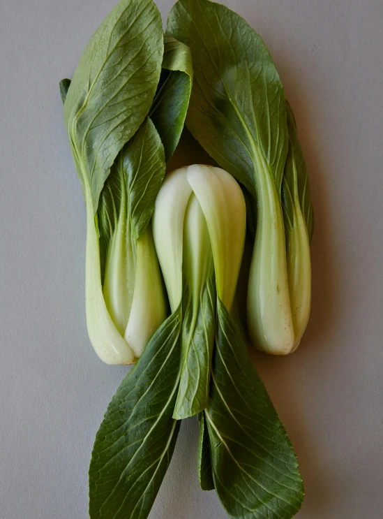 a close up of a bunch of vegetables on a table, inspired by Li Di, organic seductive geisha, large leaves, white, 10k