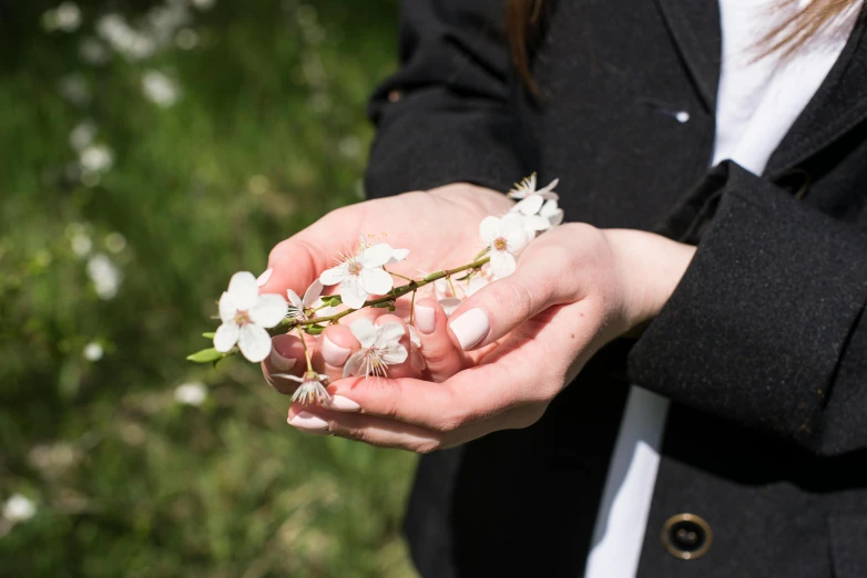 a person holding a bunch of flowers in their hands, unsplash, private press, almond blossom, parks and gardens, white, handcrafted