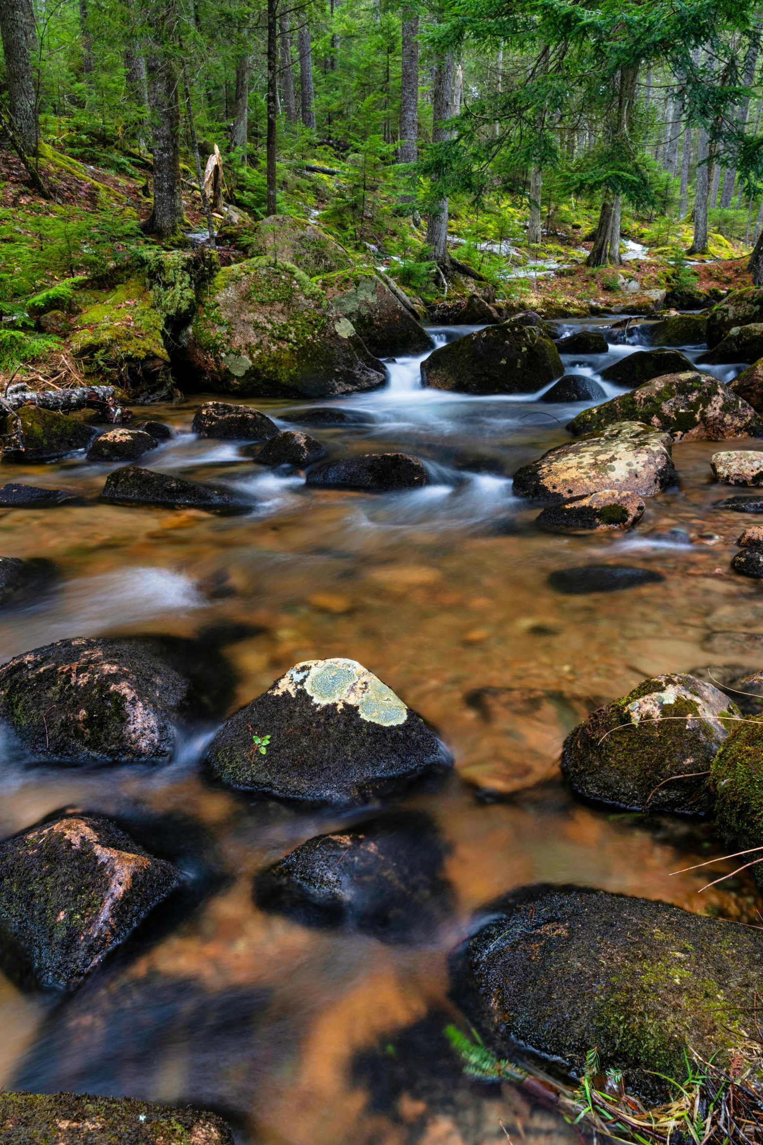 a stream running through a lush green forest, by Ivan Grohar, floating rocks, slide show, finland, feature