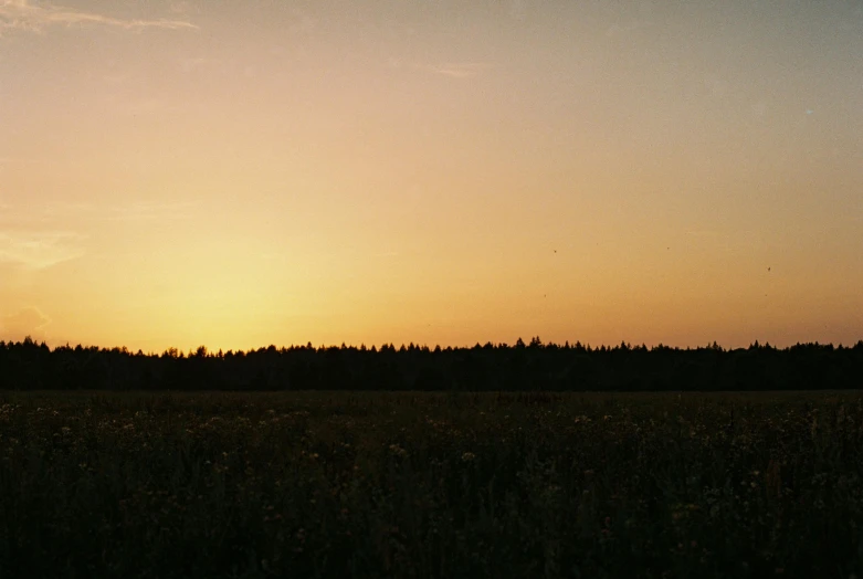 a person flying a kite in a field at sunset, an album cover, by Attila Meszlenyi, romanticism, andrei tarkovsky scene, 33mm photo