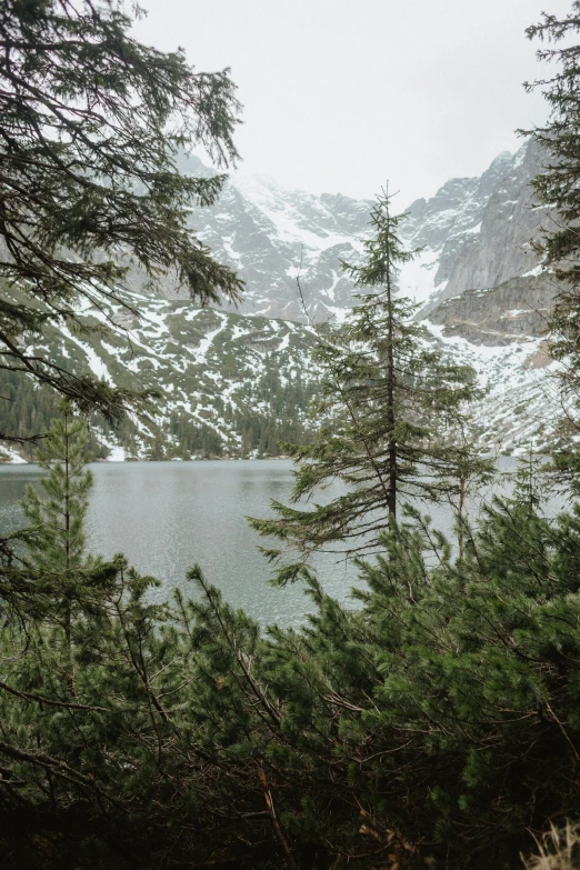 a large body of water surrounded by trees, a picture, inspired by Jacek Sempoliński, unsplash contest winner, snowy peaks, 2 5 6 x 2 5 6 pixels, poland, hiking in rocky mountain