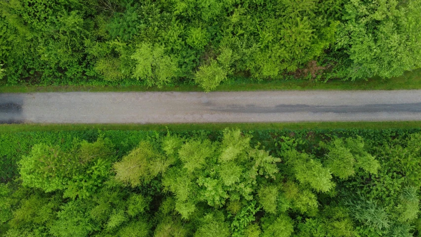 an aerial view of a road surrounded by trees, on forest path, thumbnail, teaser, wide greenways