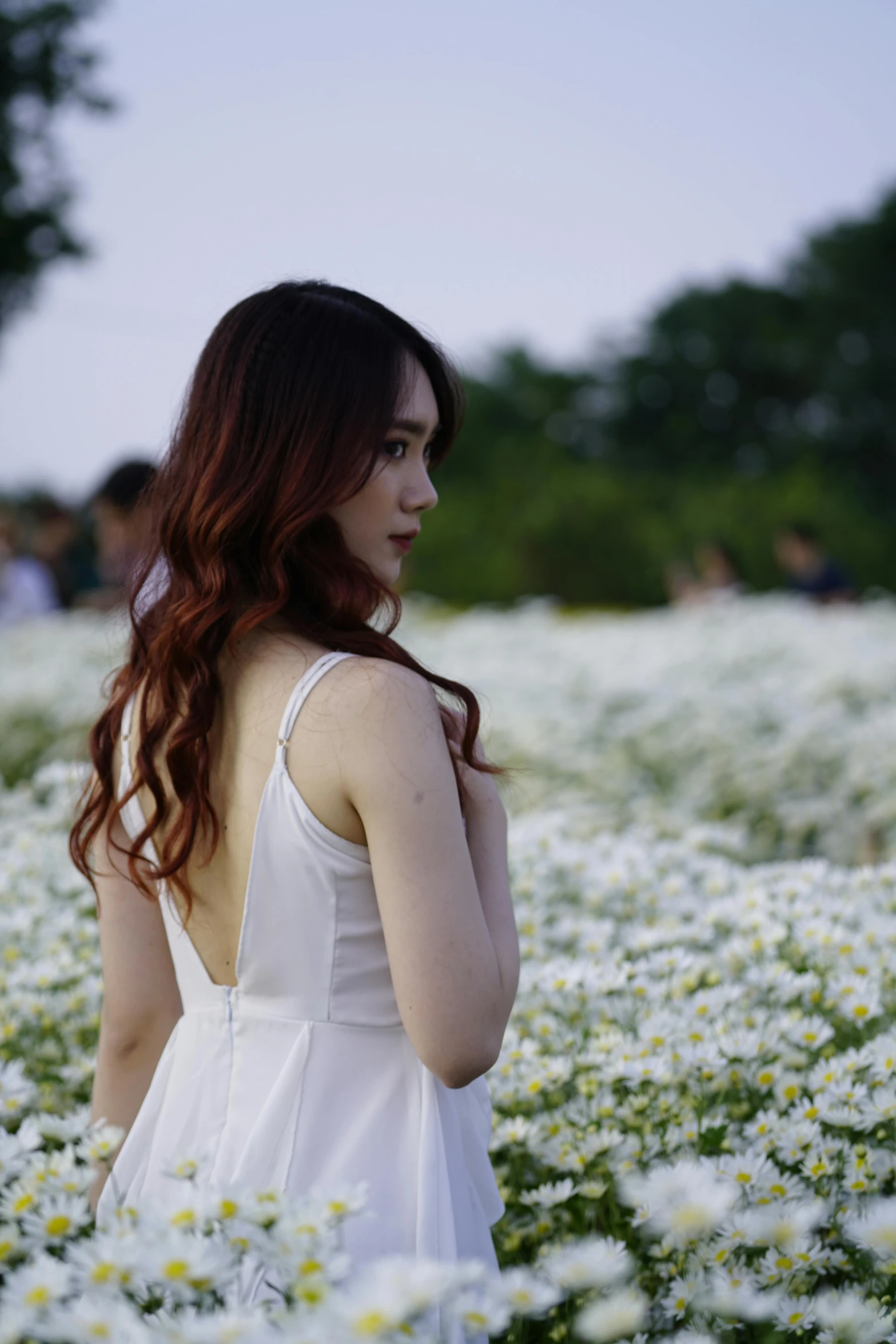 a woman standing in a field of white flowers, by Tan Ting-pho, color field, wearing a camisole, 4k), concert, medium format