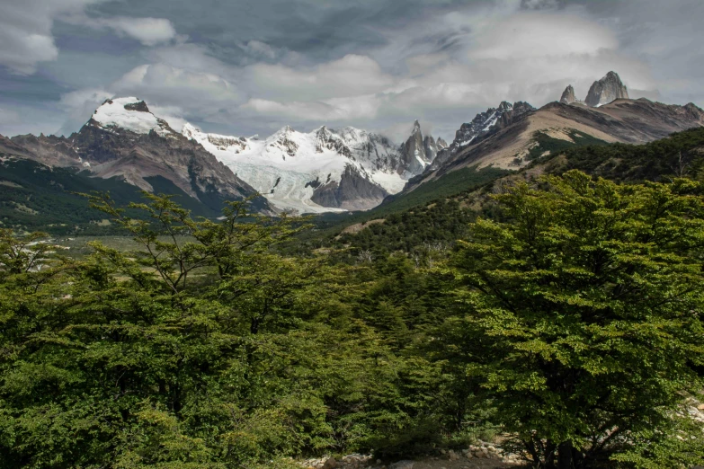 a river running through a lush green forest, by Peter Churcher, pexels contest winner, visual art, patagonian, snowy craggy sharp mountains, overlooking a valley with trees, style steve mccurry