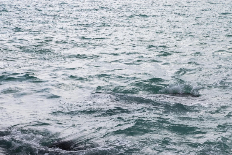 a man riding a surfboard on top of a wave in the ocean, an album cover, inspired by Vija Celmins, unsplash, hurufiyya, whales, ignant, gulper eel, zoomed out