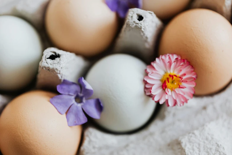 a bunch of eggs sitting on top of a table, a still life, trending on pexels, edible flowers, thumbnail, background image, manuka