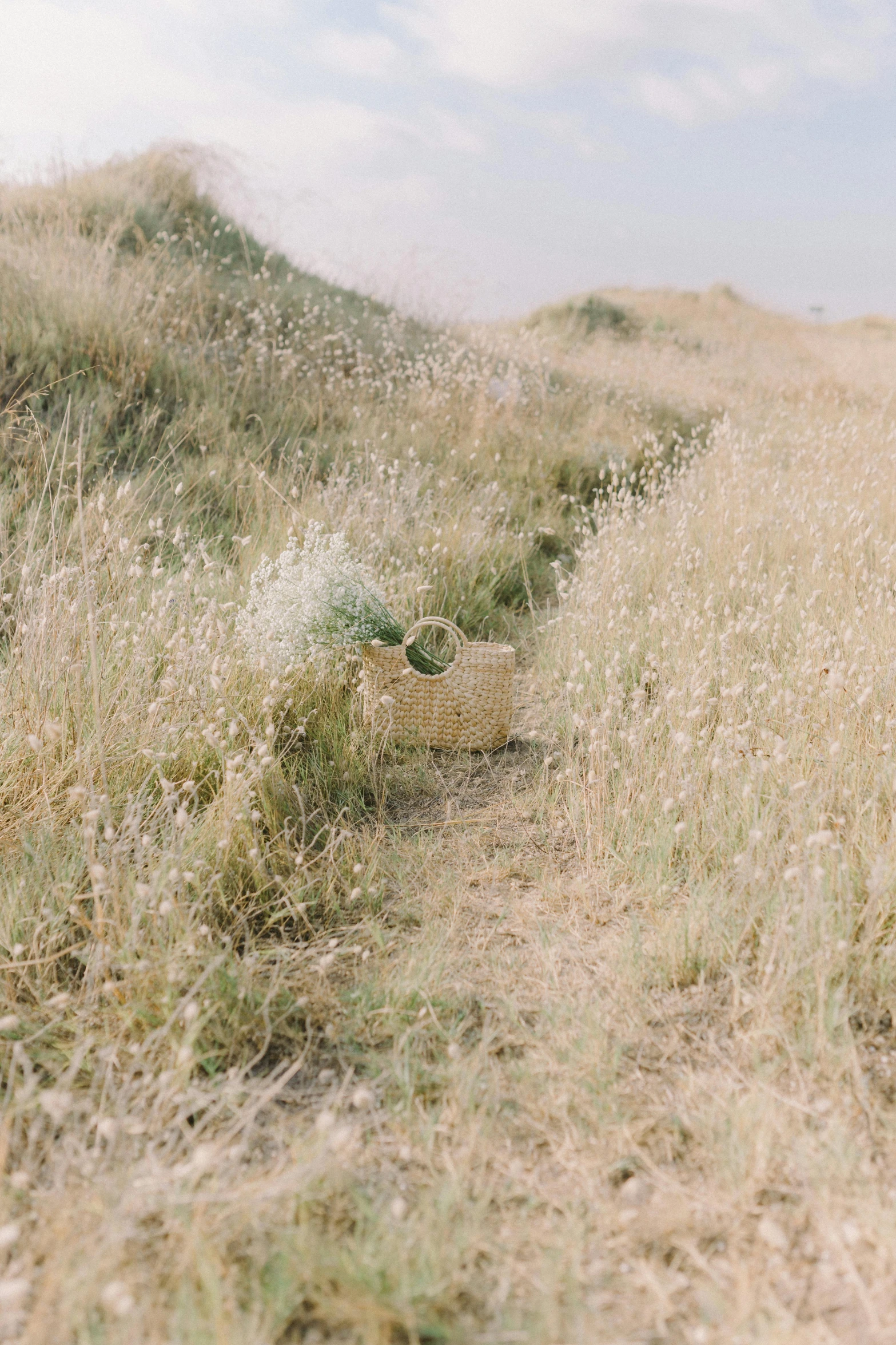 a man riding on the back of a horse down a dirt road, an album cover, inspired by Jean-François Millet, unsplash, land art, gypsophila, hiding in grass, coastal, medium format. soft light