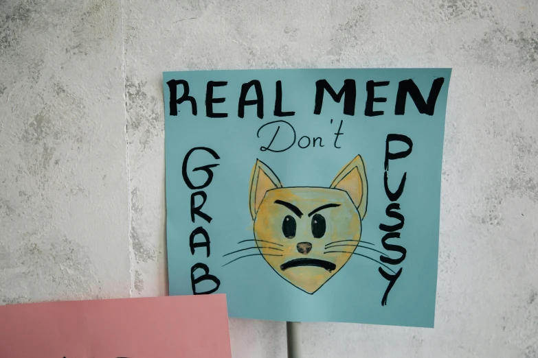 a sign that says real men don't do drugs and a sign that says real men don't do drugs, a poster, feminist art, cats party, close up photo, gen z, toiletpaper magazine