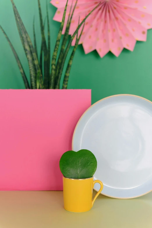 a white plate sitting on top of a table next to a potted plant, inspired by Henri Matisse, dayglo pink, product photo, lily pad, solid color backdrop