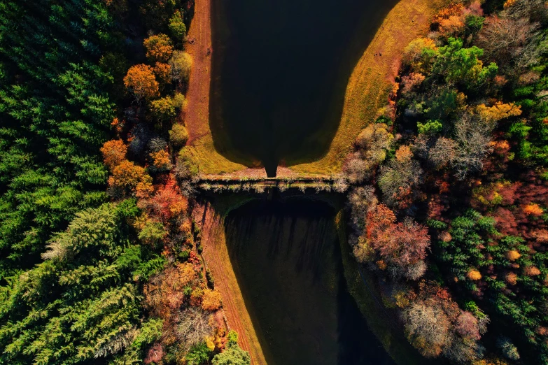 a bridge over a body of water surrounded by trees, by Filip Hodas, pexels contest winner, land art, aqueducts, top down perspecrive, autumnal, image split in half