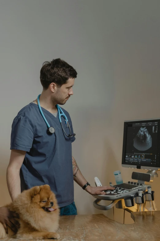 a man with a stethoscope next to a dog, looking at monitor, digital still, colour photograph, 4k image”