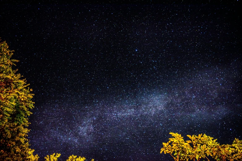 a night sky filled with lots of stars, unsplash contest winner, tree in a galaxy made of stars, rectangle, low detail, the milk way