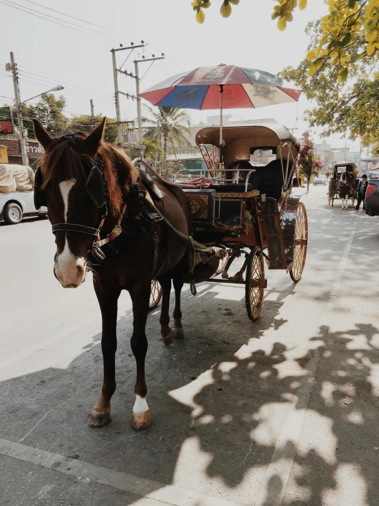 a horse pulling a carriage down a street, by Jessie Algie, pexels contest winner, sumatraism, sunny day time, square, philippines, profile image