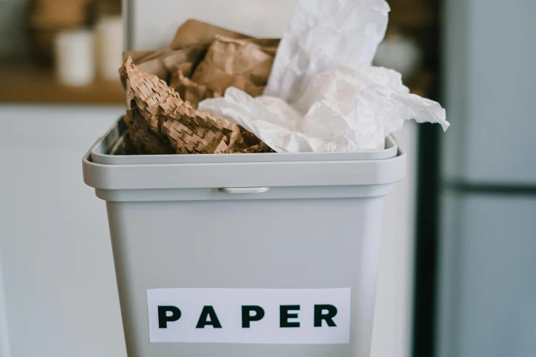 a paper bag sitting inside of a trash can, pexels contest winner, papers on table, porcelain organic tissue, in white lettering, thumbnail