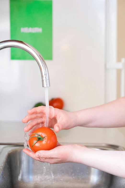 a woman washing a tomato in a kitchen sink, a digital rendering, pexels, transhumanist hydration, finger, organic growth, 8l