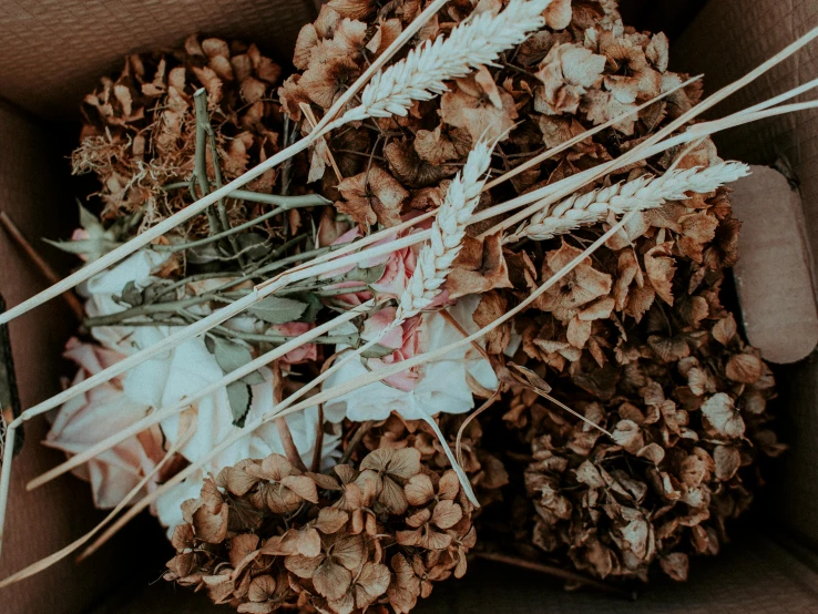 a box filled with lots of dried flowers, pexels contest winner, brown, harvest, background image, decorations