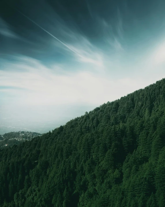 a forest filled with lots of green trees, unsplash contest winner, distant town in valley and hills, black fir, trending photo, skies