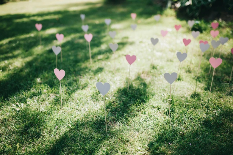 hearts are placed in the grass on a sunny day, by Emma Andijewska, unsplash, land art, wedding, cardboard, multiple lights, pastel hues