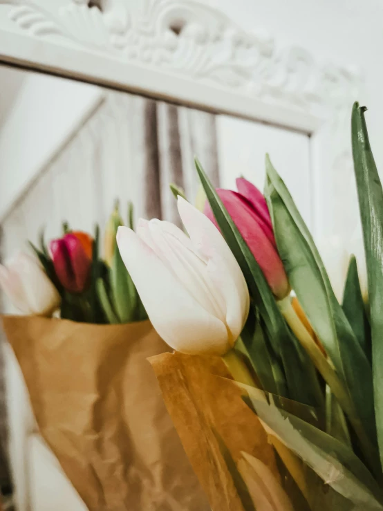 a bouquet of tulips sitting in front of a mirror, up close, background image, ayne haag, cardboard