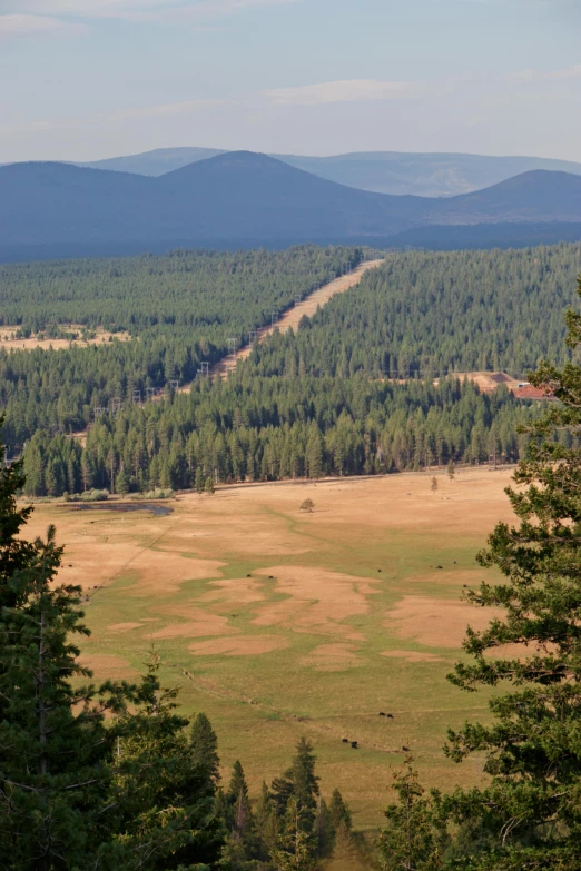 a view of a valley from the top of a hill, evergreen valley, brown stubble, square, oregon