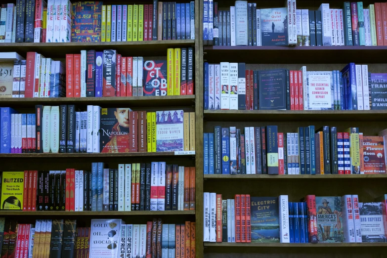 a book shelf filled with lots of books, by Carey Morris, photograph credit: ap, bookshops, 2 5 6 x 2 5 6 pixels, ballard