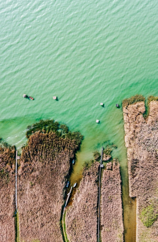 a group of people riding surfboards on top of a body of water, by Jan Tengnagel, pexels contest winner, conceptual art, aerial view of an ancient land, greenish colors, tx, marshes