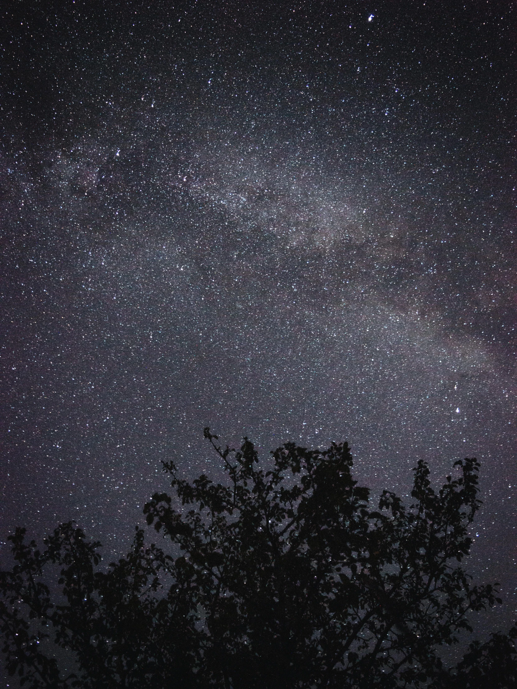 a night sky filled with lots of stars, unsplash contest winner, grainy, taken on iphone 14 pro, fan favorite, medium closeup
