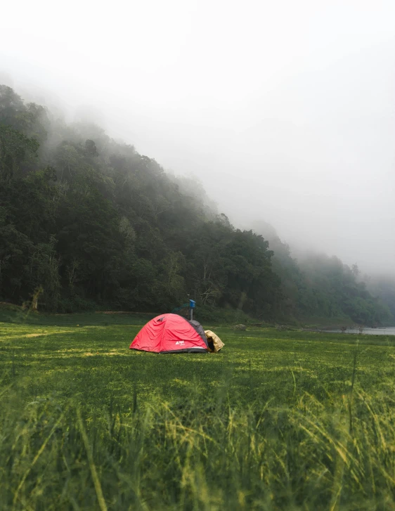 a red tent sitting on top of a lush green field, beside the river, foggy area, campsites, tall acid green grass field