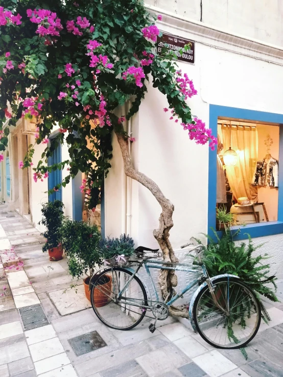 a bicycle is parked in front of a building, flowers and vines, neon greek, instagram picture, profile image