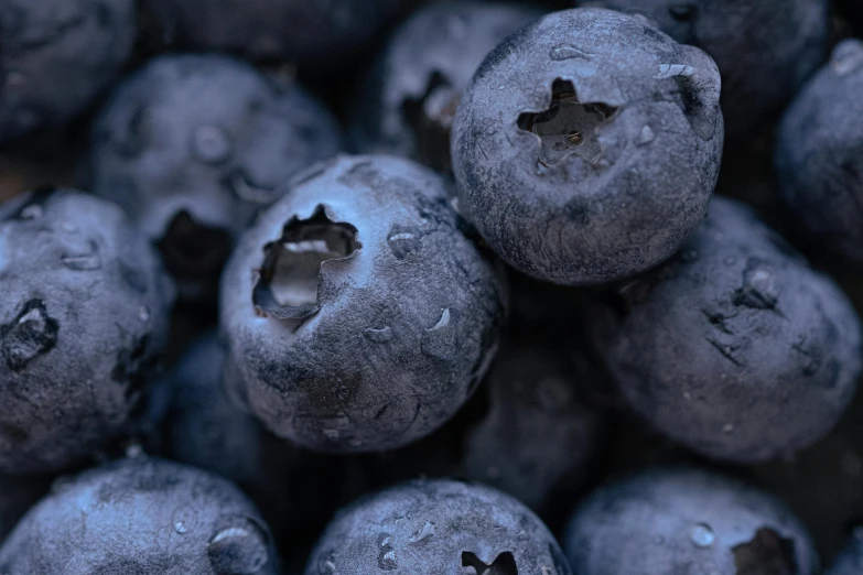 a close up of a bunch of blueberries, pexels contest winner, highly detailed textured 8k, pbr materials, grey, subtle detailing