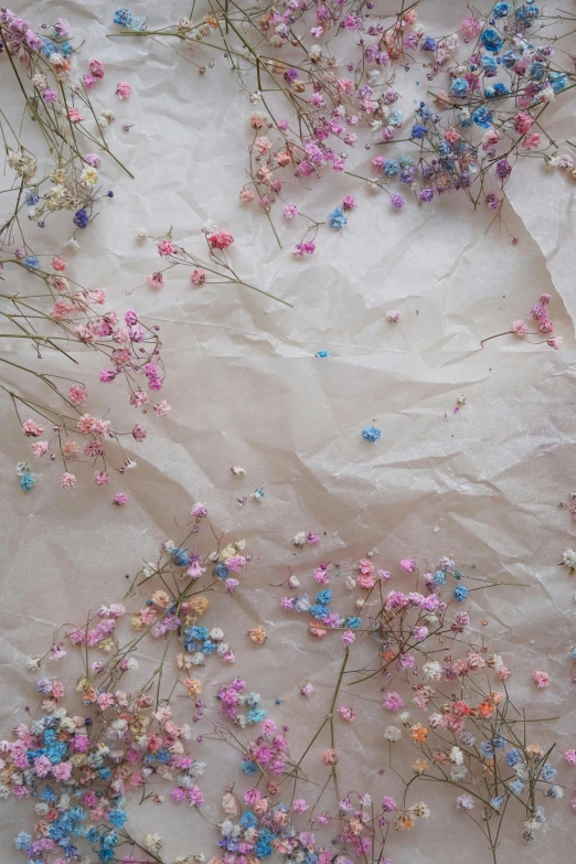 a bunch of flowers sitting on top of a piece of paper, by Anna Boch, trending on unsplash, conceptual art, sprinkles, sheer fabrics, made of dried flowers, gypsophila