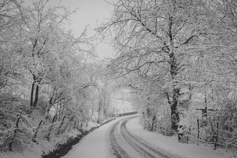 a black and white photo of a snowy road, a black and white photo, pexels, hilly road, snowy italian road, curved trees, 🌸 🌼 💮