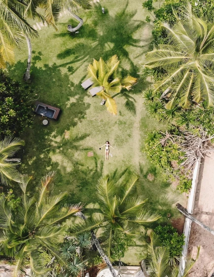 a car parked on top of a lush green field, a screenshot, by Daniel Lieske, pexels contest winner, beach and tropical vegetation, back yard, lying down, the palms come from the ground