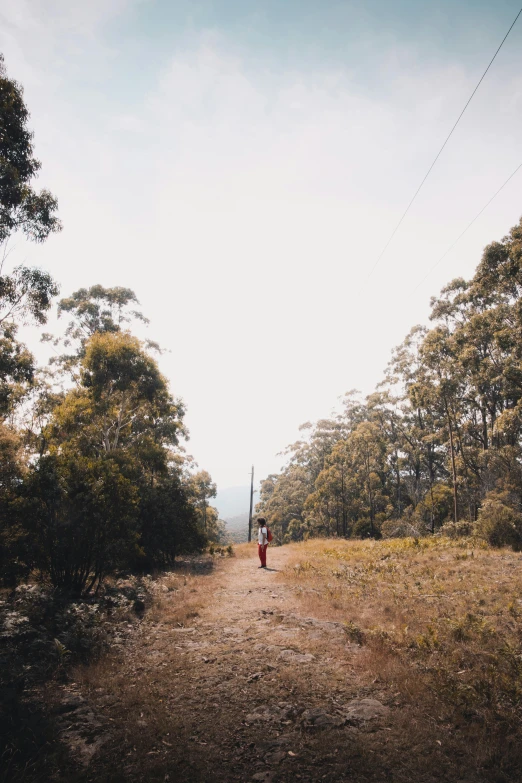 a person is walking down a dirt road, happening, straya, velly distant forest, yellow, panoramic view of girl