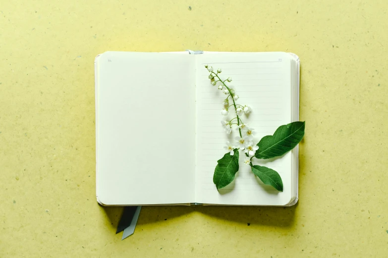 an open notebook with a flower on top of it, jasmine, mundane, profile image, willow plant