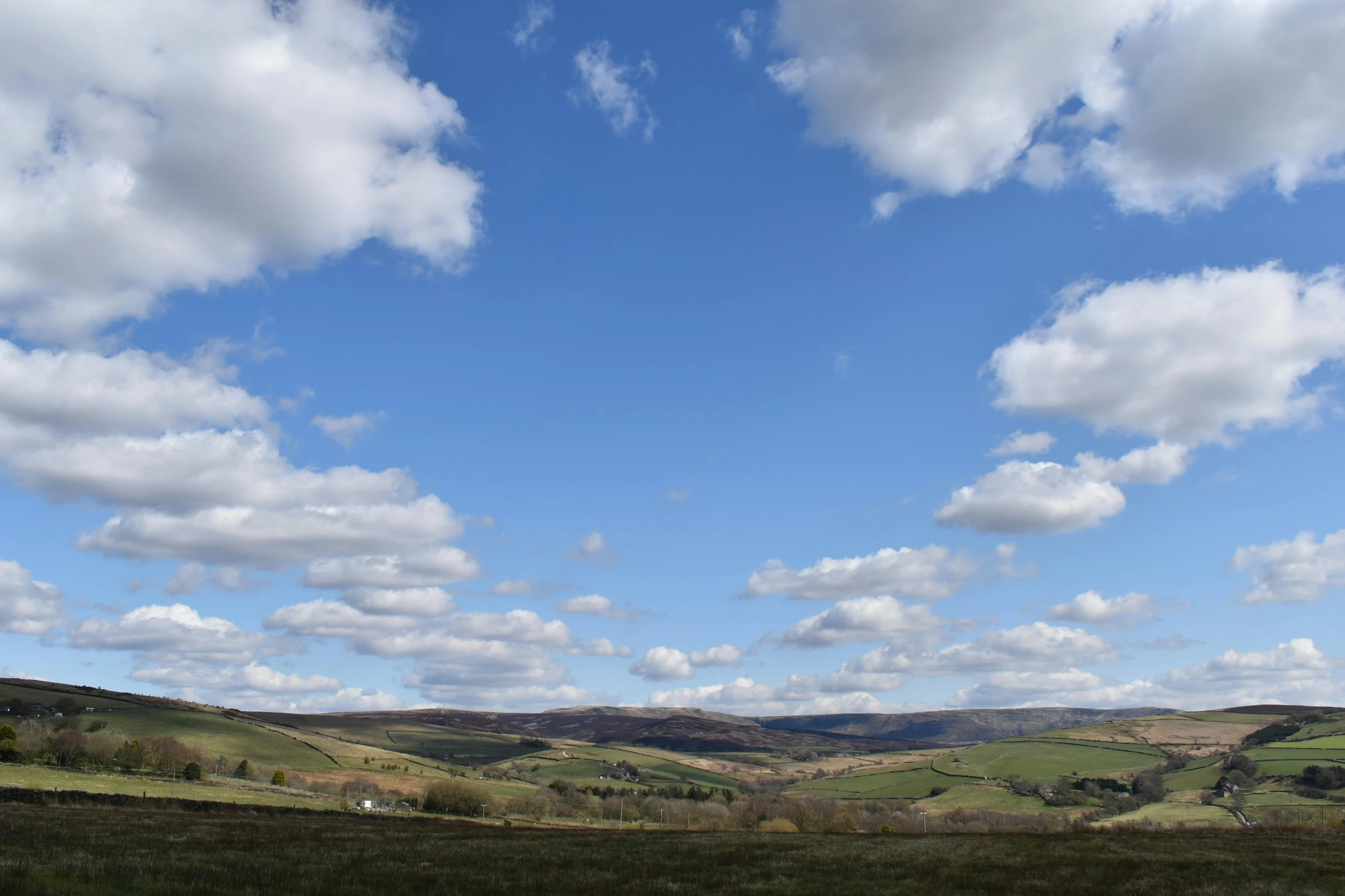 a herd of sheep standing on top of a lush green field, big clouds visible, forest plains of yorkshire, # nofilter, today\'s featured photograph 4k