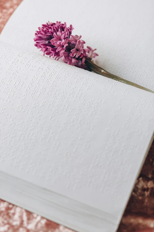 a book with a flower sticking out of it, unsplash, romanticism, embossed, drawn with dots, white porcelain skin, hyacinth