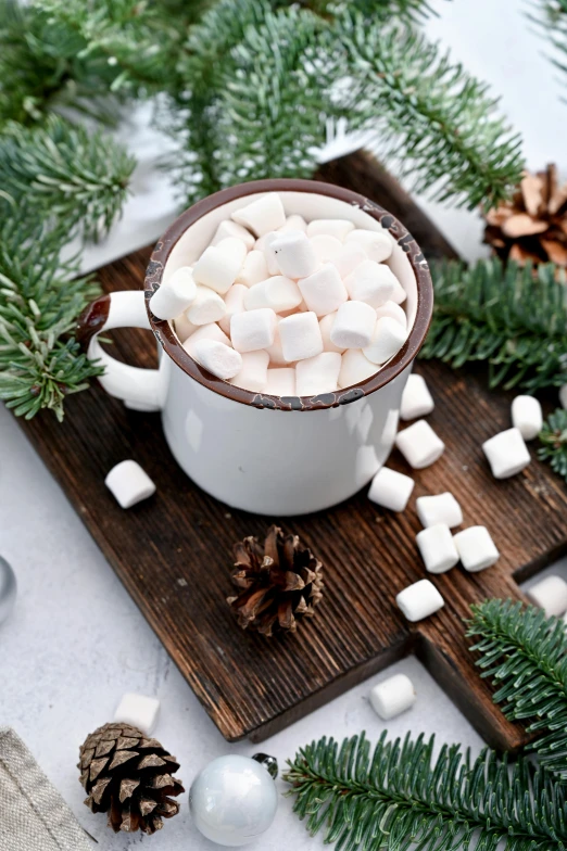 a cup of hot chocolate with marshmallows and pine cones, a portrait, by Julia Pishtar, trending on pexels, made of glazed, white, slate, premium quality