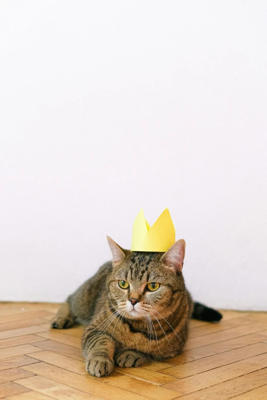 a cat with a paper crown on its head, pexels, king in yellow, a wooden, low fi, tall