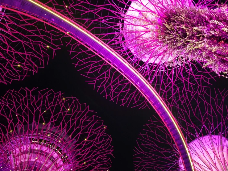 a view of the gardens by the bay at night, a digital rendering, inspired by Bruce Munro, pexels, interactive art, pink and purple, extreme closeup shot, intricate branches, view from below