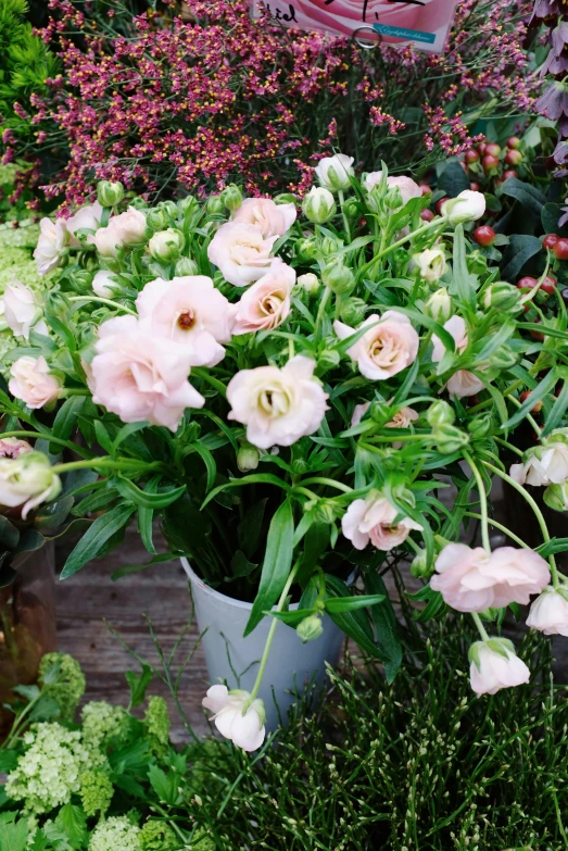 a bunch of flowers that are in a pot, inspired by Frederick Goodall, featured on pinterest, romanticism, with soft pink colors, in bloom greenhouse, fully covered, draped in fleshy green and pink