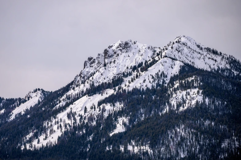 a plane flying over a mountain covered in snow, a portrait, by Dan Frazier, unsplash, baroque, idaho, stacked image, telephoto, grey