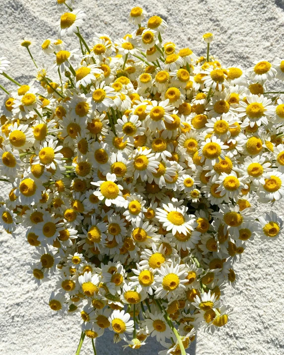 a vase filled with lots of yellow and white flowers, an album cover, unsplash, land art, chamomile, high view, extremely hyperdetailed, loosely cropped