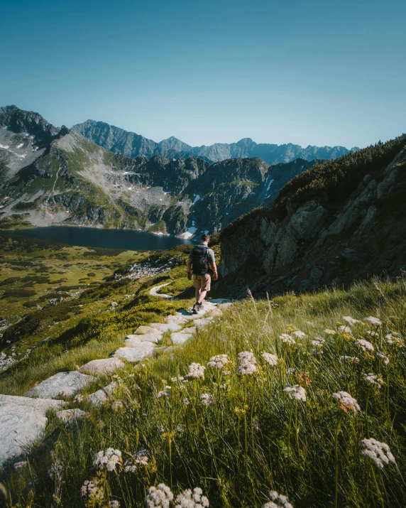 a person walking on a trail in the mountains, pexels contest winner, vast lush valley flowers, garis edelweiss, lakeside mountains, conde nast traveler photo