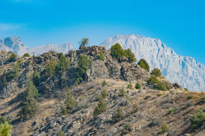 a horse standing on a hill with a mountain in the background, by Muggur, unsplash, les nabis, detailed trees and cliffs, panoramic photography, high quality product image”