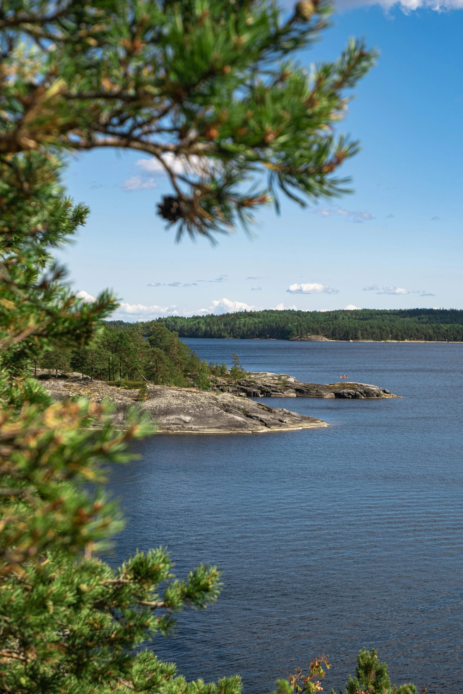 a large body of water surrounded by trees, inspired by Wilhelm Marstrand, delightful surroundings, slide show, coast