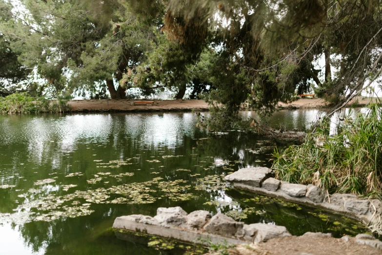 a pond filled with lots of water surrounded by trees, a picture, unsplash, les nabis, the city of santa barbara, may gibbs, cyprus, serenity & calm